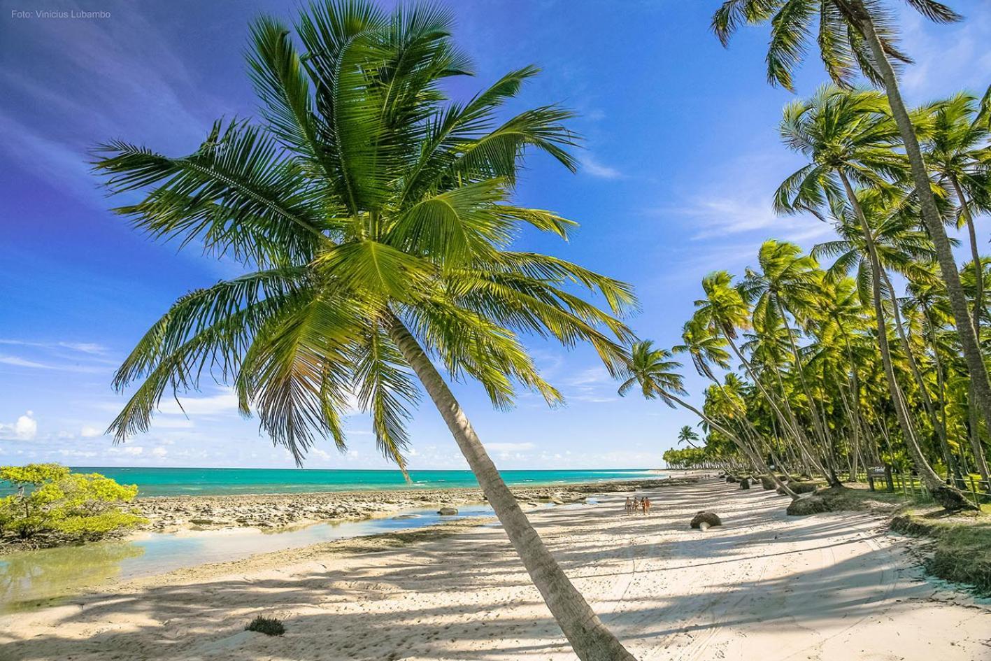 Carneiros Beach Resort بريا دوس كارنيروس المظهر الخارجي الصورة
